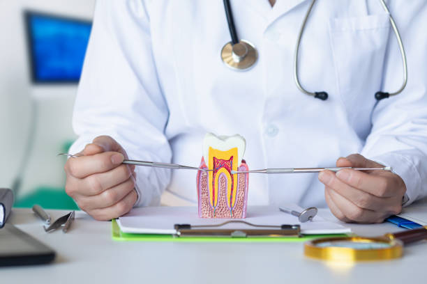 Best Emergency Orthodontic Repairs in Hoxie, AR